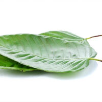 White Maeng Da: Want Energy & A Mood Booster? 1 39cc02 d79a50dd73f34c34bba902255e0c8f2a mv2 d 5401 2685 s 4 2