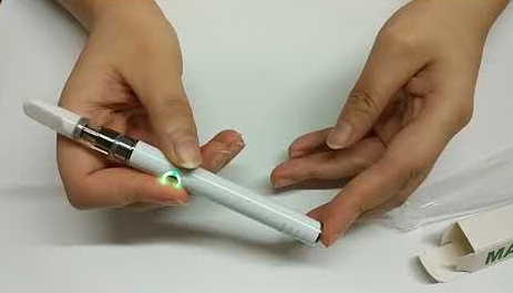 Leaf Buddi Vape Battery