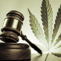 Is Delta-8-THC Legal In Your State? 1 Dalta THC 1