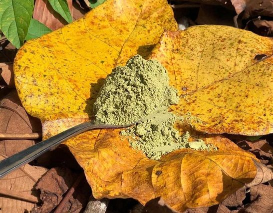 Kratom Ban Reversed in Monroe County