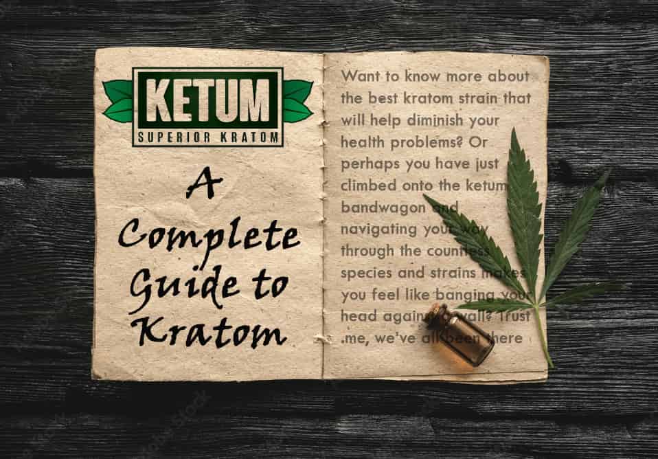 A Definitive Guide to Kratom Strains 1 Kratom Guide