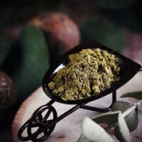 Kratom Ban: Same Tune, Same Song 1 kratom ban and legalization