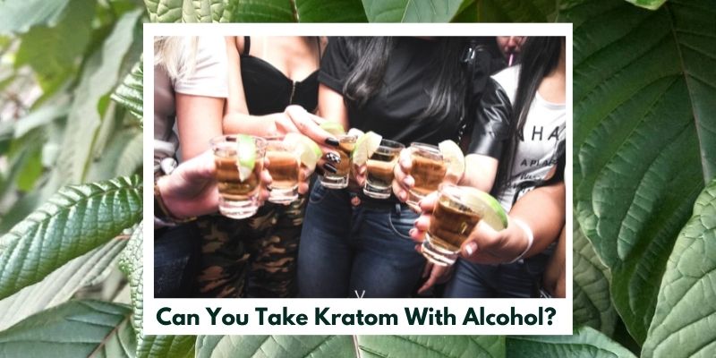 Can You Take Kratom With Alcohol? 1 Kratom Alcohol Combination