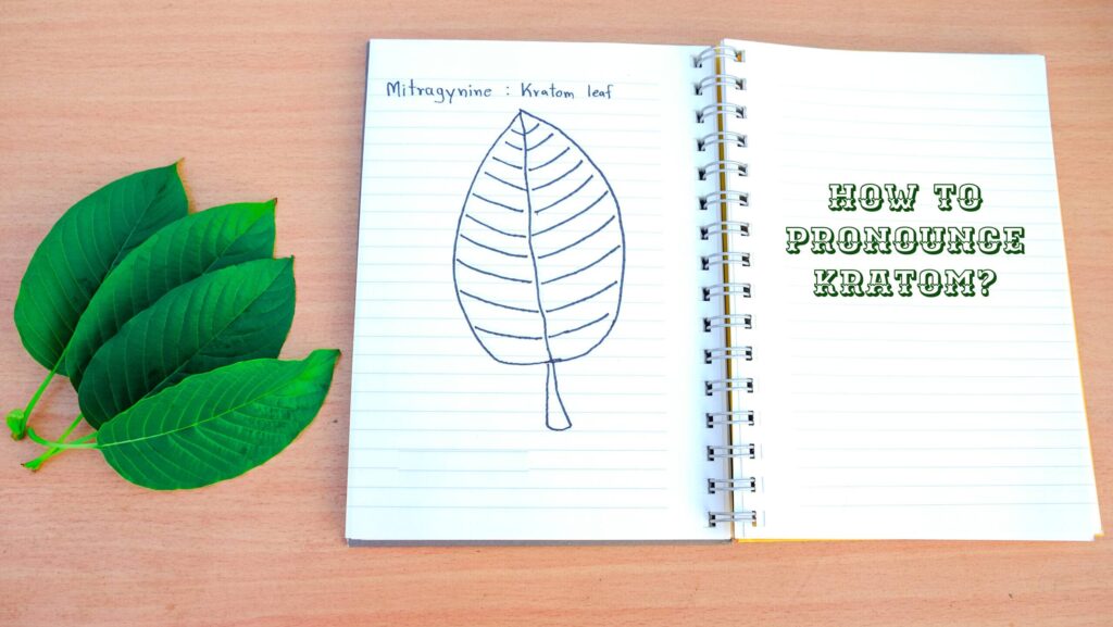 How to Pronounce Kratom?