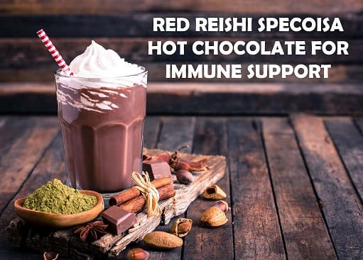 Red Reishi Specoisa Hot Chocolate For Immune Support 1 Red Reishi Specoisa Hot Chocolate For Immune Support