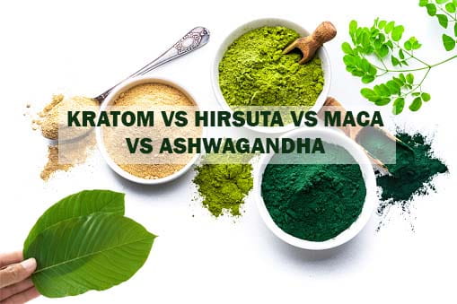 Kratom vs Hirsuta vs Maca vs Ashwagandha 1 Kratom vs Hirsuta vs Maca vs Ashwagandha