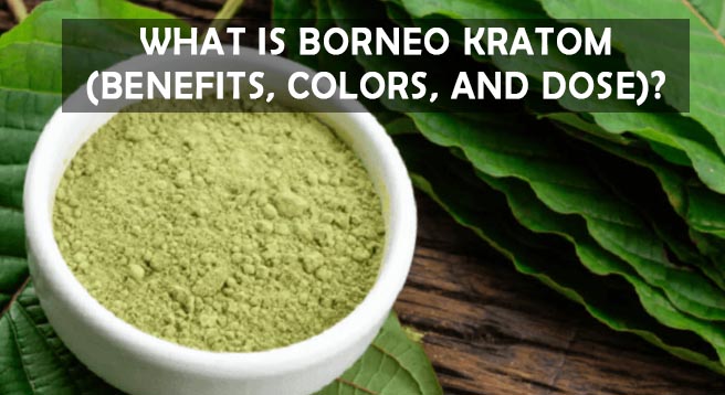 What is Borneo Kratom (Benefits, Colors, and Dose)? 1 What is Borneo Kratom