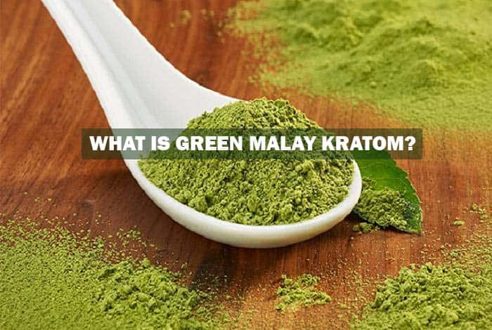 What is Green Malay Kratom? 1 What is Green Malay Kratom