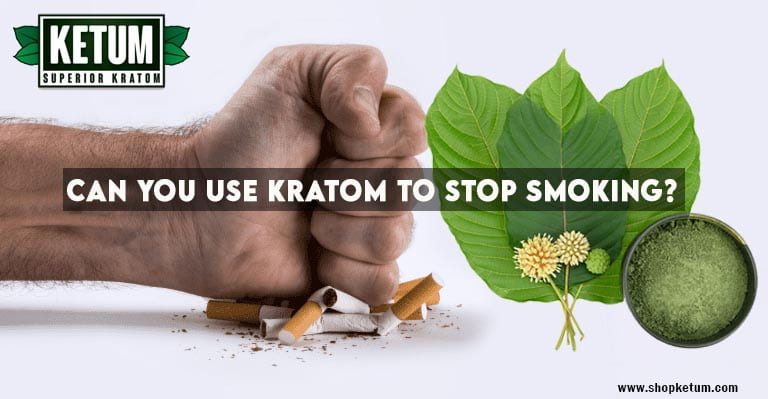 Can You Use Kratom to Stop Smoking? 1 Can You Use Kratom to Stop Smoking