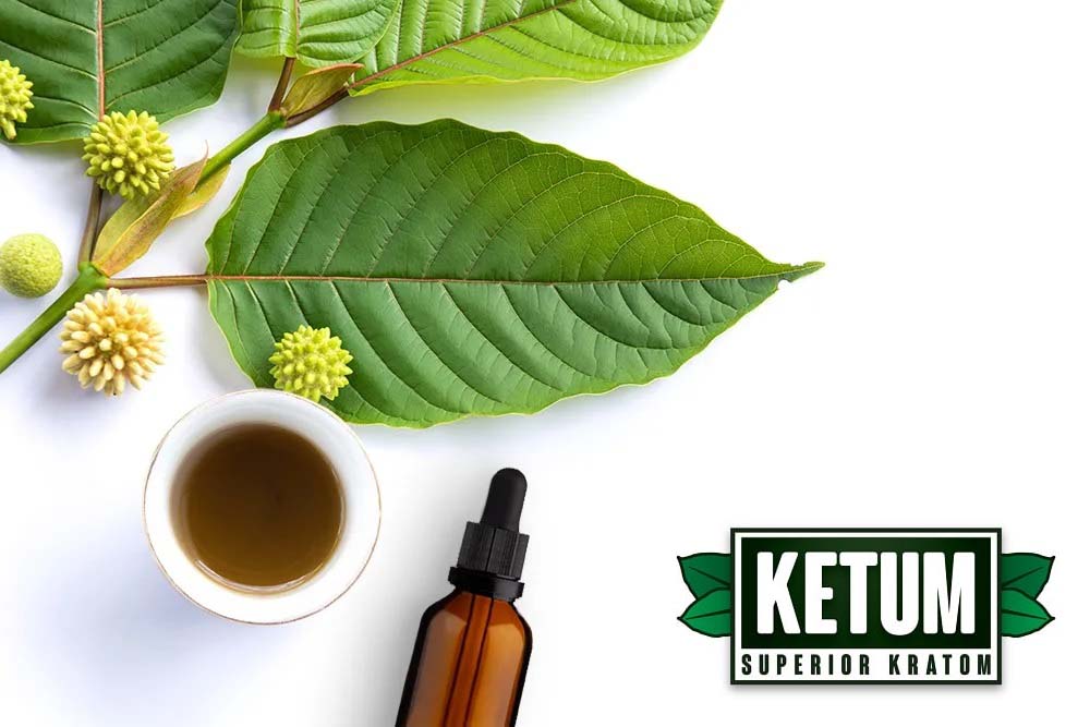 How to Make Your Own Kratom Extract 1 how to make kratom
