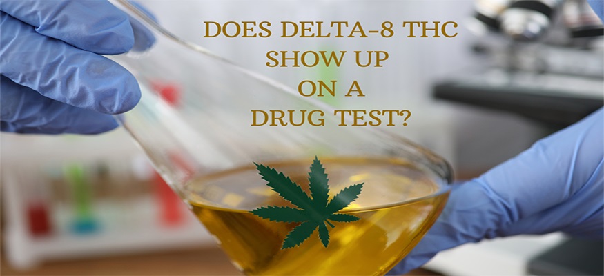 Does Delta 8 THC Show Up On A Drug Test? 1 Does Delta 8 THC Show Up On A Drug Test