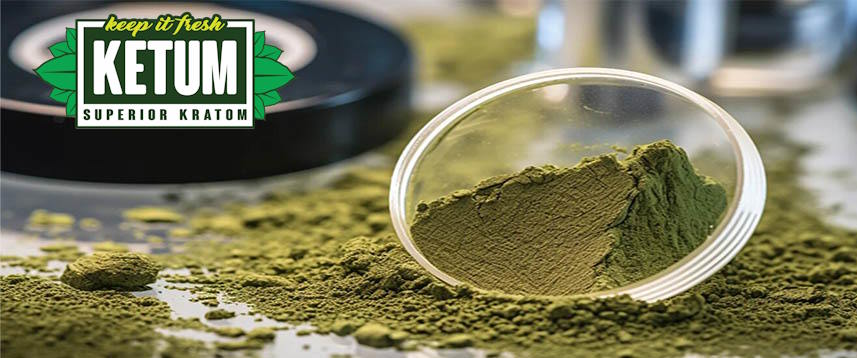 The Synergistic Effects of Caffeine and Kratom 1 Untitled2